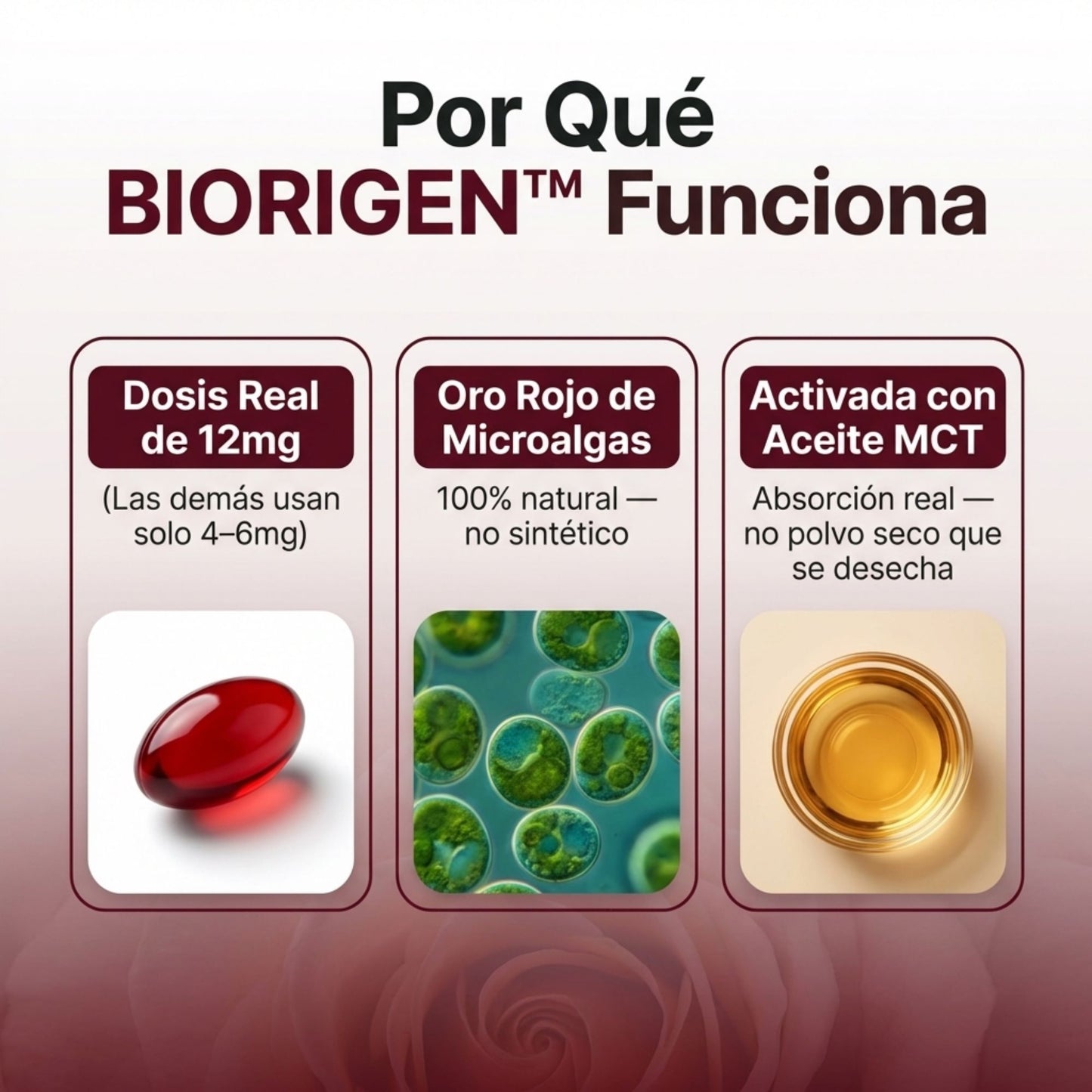 Astaxantina - El Antioxidante Maestro para tu Visión, Piel y Energía.